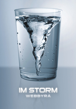 IM Storm Webbyr� i Botkyrka - webbdesign, foto och logotyp
