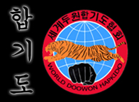 www.doowonhapkido.org